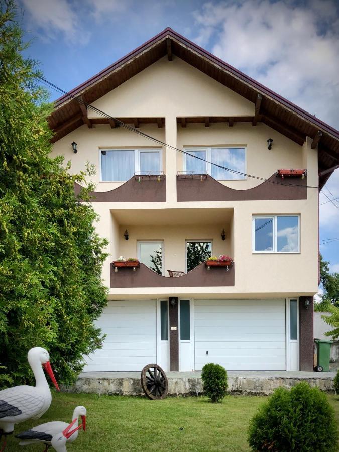 Casa Paunescu Milostea Εξωτερικό φωτογραφία