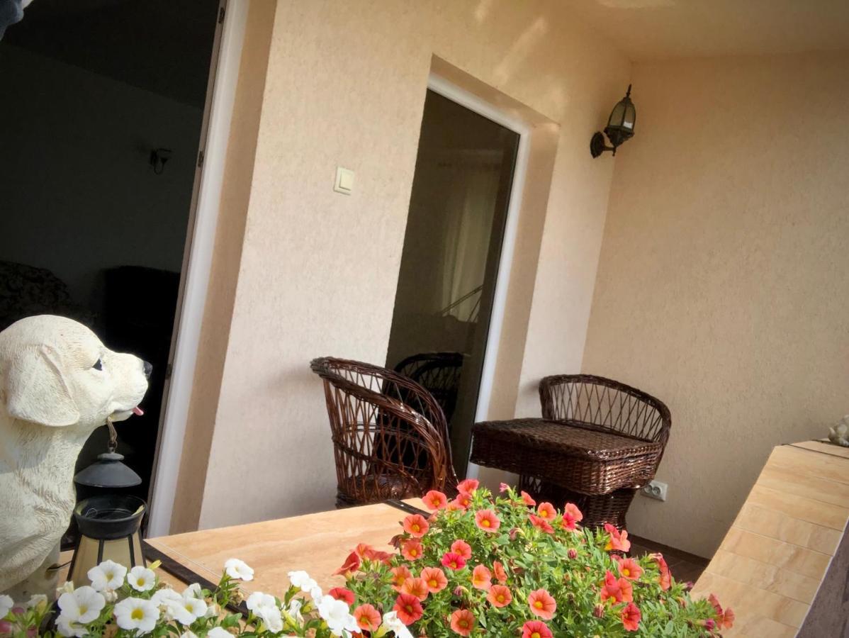 Casa Paunescu Milostea Εξωτερικό φωτογραφία